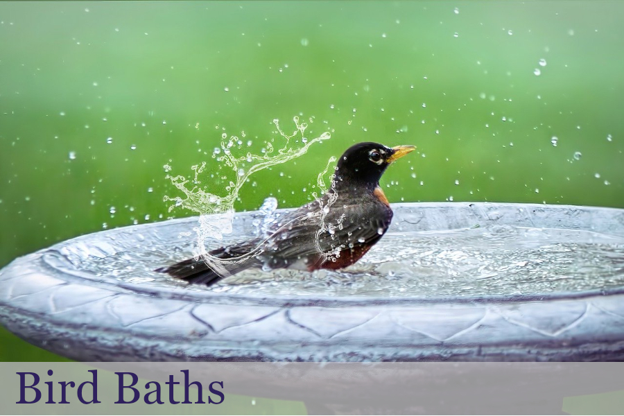 Bird Baths Thirsk Garden Centre